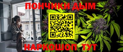 индика Тулун