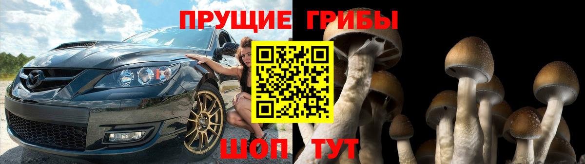 Псилоцибиновые грибы MAGIC MUSHROOMS  Вход с VPN  Нерюнгри 